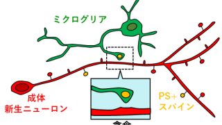 sawamoto_lab_2022_j-320x180.jpg